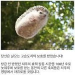 <b>저주</b>글 본 얘들아 들어와