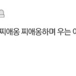 [방탄소년단] ㅉㅇㅇ.....ㅉㅇㅇ......