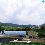 <b>울</b><b>집</b>뷰도 볼사람 ㅋㅋㅋㅋㅋ
