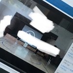 __ 체육쌤 공개<b>처형</b> ㅆ지림