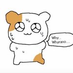 나 고2 <b>개미</b> 친년임
