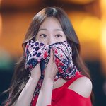 내신 5.1이 어떻게 <b>이대</b> 붙어?