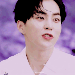 눈<b>정화</b>