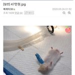 애들아 성형얘기하면 글<b>삭</b>되냐..?