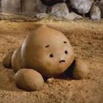 [모두드루와] <b>강아지똥</b> 아이돌ㅋㅋㅋ