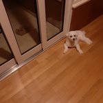 [드루와] 와 십빠빠 샤워하고 방 들어가는데