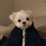 [댓글부탁해] 얘두라 노래 추천해주라