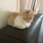 [모두드루와] 얘들아 아이돌에 과<b>몰입</b>하지마셈..