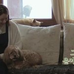 소시 윤아 보고 힐링됐던 때