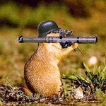 [댓글부탁해] 대학에서 과마다 입는 옷 특징 분류해봄.