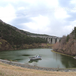 [강아지] 반려인이라면 1일 1산책을 필수죠!