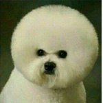 반장멘트 추반ㄱㄱ