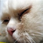 여기 <b>서초</b>고 2학년 있니...??