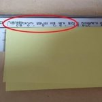 <b>평택</b> 한 여중서 비인권적 가정조사…'너희집 기초생활수급자니?'