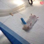 [댓글부탁해] 아니 트페미만 없어져도 페미인식 개올라갈걸