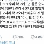 나진짜 트위터식 <b>주작</b> 못보겠어