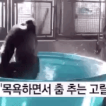 [NCT] 정우 <b>여친</b>본거 얘기한다