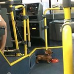 와 ㅅㅂ 이거 봄?