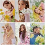 [모두드루와] 다이아 정<b>채연</b> 합성 티저
