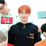 이거 찐 햄<b>토리</b>다