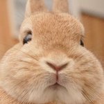 [방탄소년단] 아니 나 있자너