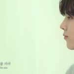 옴걸 <b>효정</b>보는 김우석