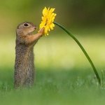 ☘️이 글을 누르면 <b>행운</b>이 찾아옵니다☘️