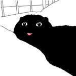 [10대의성] 우리언니 티팬티입음ㅋㅋㅋ