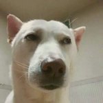 우리 <b>반</b><b>톡</b> 만들어지고 매번..