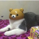 [댓글부탁해] 남자 이름 이거 어떨거 같아?