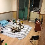 집주인이 저희집에 <b>무단</b>으로 거주하고 있습니다. 도와주세요.