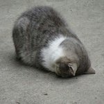 [19] 나요즘 꿈 너무 무서움;;