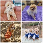 [방탈죄송] 마무리합니다