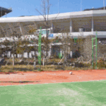 한국 축구 국가<b>대표들</b>의 위엄 ㄷㄷㄷ