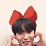 우리집 강아지들을 소개합니다