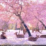 남돌은 제발 인성<b>영업</b> 하지마