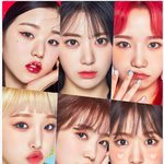 [모두드루와] <b>주작</b>이라도 어쩜 이렇게 잘모았지?