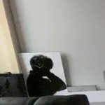 [방탄소년단] 덕이 방에 있던거 ㅠㅠㅠㅠㅠㅠ