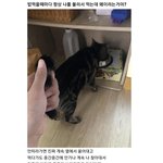 [댓글부탁해] 고3 정시로 <b>sky</b>