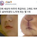 [TXT모아] 툽탐/<b>세상</b>이 아무리 주옥같아도 그래도 어케든 살아야겠다...