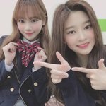 나도 <b>한림</b> 가고싶다
