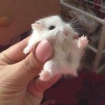 [댓글부탁해] 생<b>윤</b> 나만 어렵나 혹<b>씨</b>