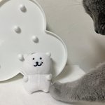 [댓글부탁해] 너네 친구가 너가 잘생겼다 한 오빠랑
