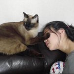 [모두드루와] 있지 <b>서치</b>하기 ㅈㄴ힘듦;