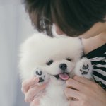 김우석네 강아지 개귀엽지않냐..