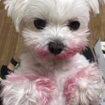 [조언부탁해] 내 <b>존재</b>가 우울이라는 친구는 어떻게 해야 해?