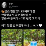 [TXT모아] 체리퓨마가 또 스포를 한거같아