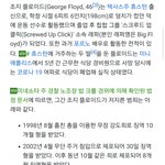 [댓글부탁해] 죽은 <b>흑인</b> 전과 목록좀봐 ㄷㄷㄷ