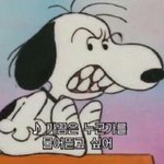 [댓글부탁해] 내 주변에 <b>승무원</b> 준비하는 애들 ㅈㄴ 많은데