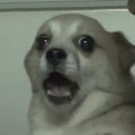 [모두드루와] 얘들아~ 뭣도 아닌 내가 입장 정리 해볼게~